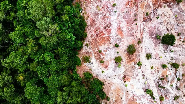 $1 for Protection, $30 for Destruction: UN Report Reveals Alarming Global Environmental Funding Gap