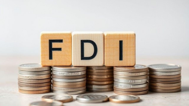 FDI Growth 19.13% in the First Year After July Uprising