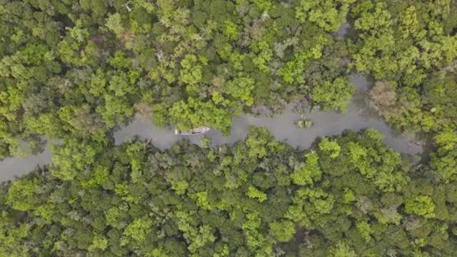 UK Aid Cuts Threaten Major Climate Project in Bangladesh’s Sundarbans