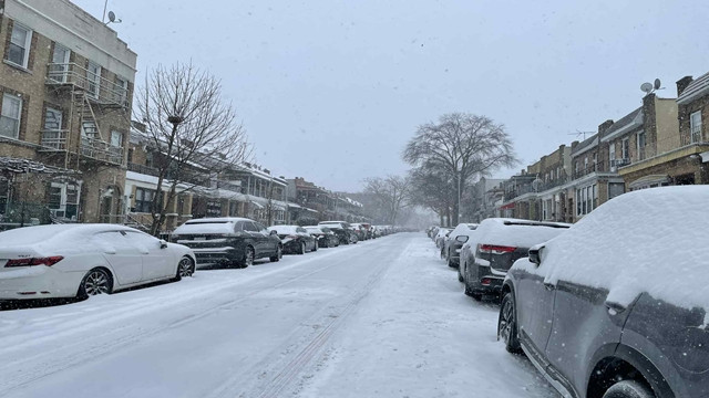 Blizzard Devastates US: 17 States Under Emergency, 5 Fatalities in NY