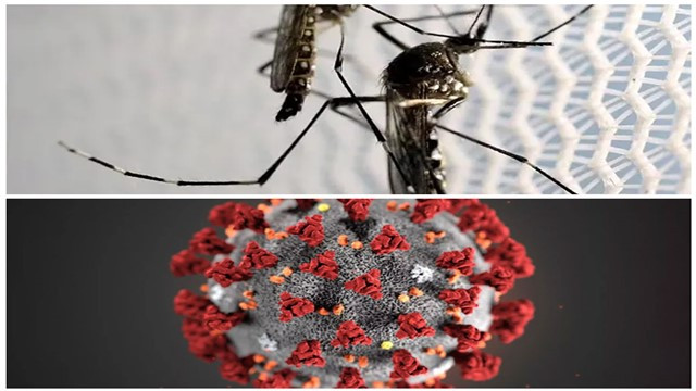 5 died of Dengue, 2 from Coronavirus in Bangladesh