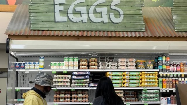 Egg prices in the US breaks records every day