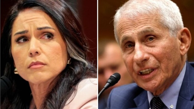 Tulsi Gabbard Accuses Anthony Fauci of Funding Risky Wuhan Research, Releases New Documents