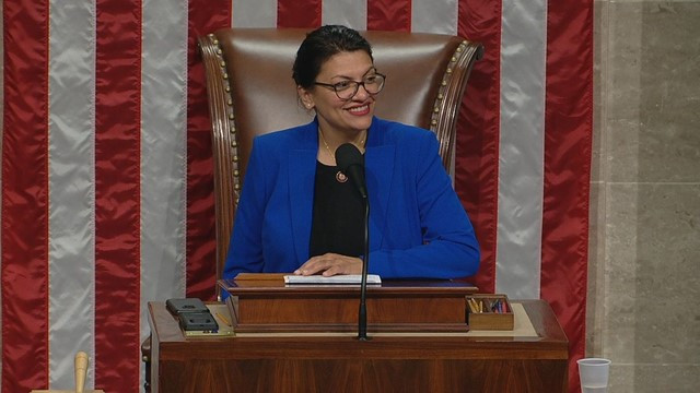 Tlaib Seeks U.S. Recognition of Alleged Gaza Genocide