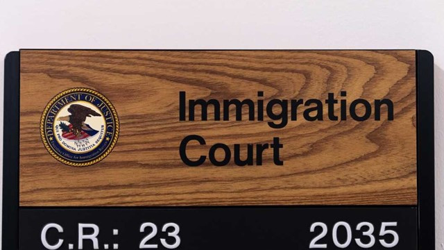 US Immigration Department in State of Chaos, 8 More Judges Dismissed