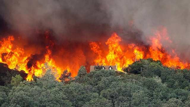 Fast-Spreading Wildfire Nears Reno, Forcing Tens of Thousands to Evacuate