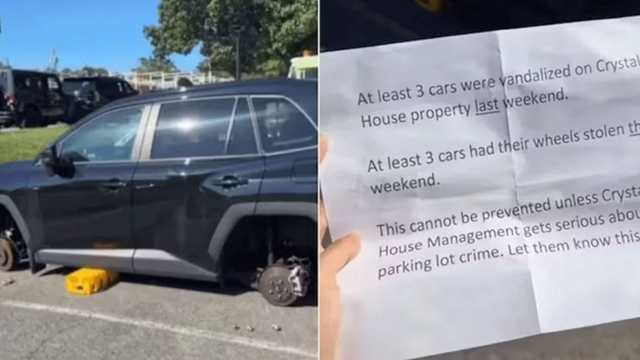 Indian Woman Says Brother’s Car Wheels Stolen in US Parking Lot